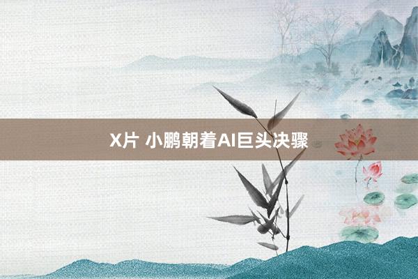 X片 小鹏朝着AI巨头决骤
