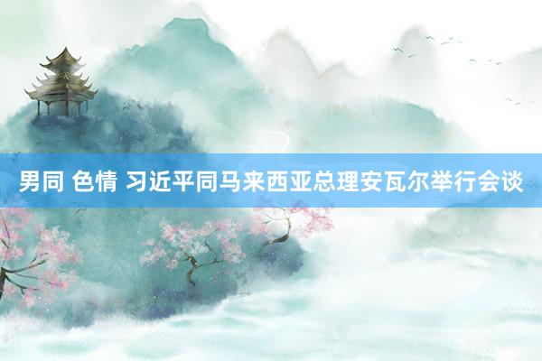 男同 色情 习近平同马来西亚总理安瓦尔举行会谈