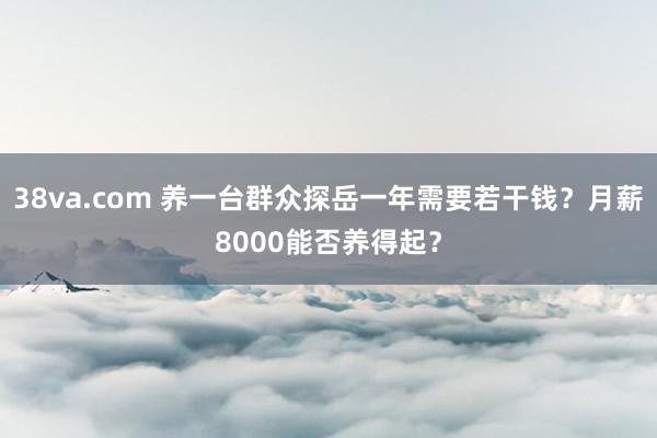 38va.com 养一台群众探岳一年需要若干钱？月薪8000能否养得起？