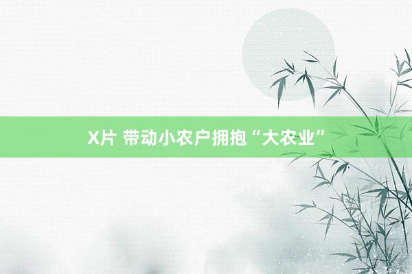 X片 带动小农户拥抱“大农业”