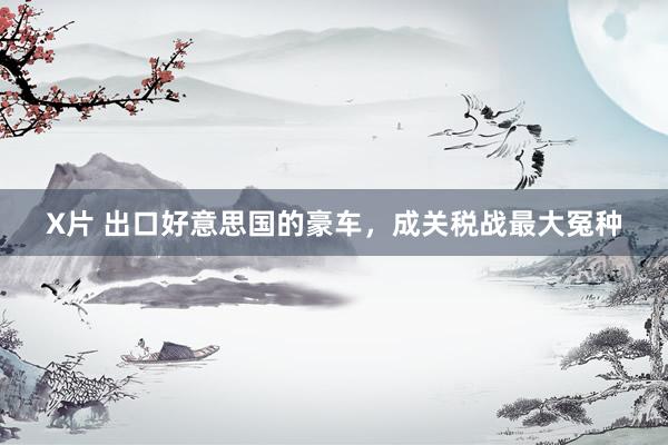 X片 出口好意思国的豪车，成关税战最大冤种
