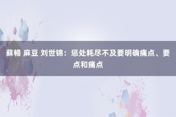 蘇暢 麻豆 刘世锦：惩处耗尽不及要明确痛点、要点和痛点