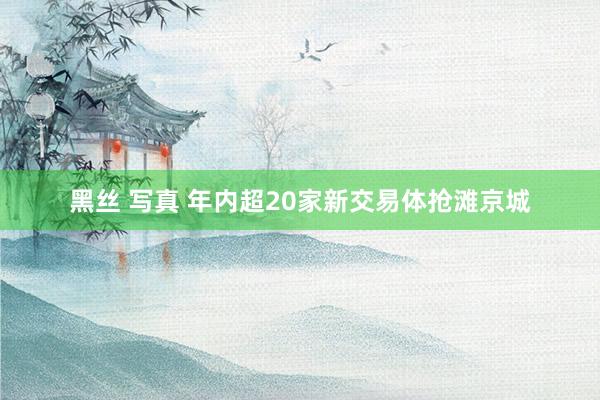 黑丝 写真 年内超20家新交易体抢滩京城