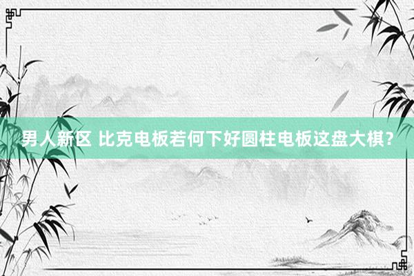 男人新区 比克电板若何下好圆柱电板这盘大棋？