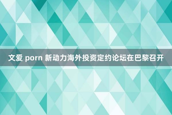 文爱 porn 新动力海外投资定约论坛在巴黎召开