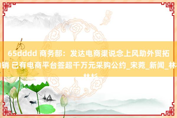 65dddd 商务部：发达电商渠说念上风助外贸拓内销 已有电商平台签超千万元采购公约_宋菀_新闻_林杉
