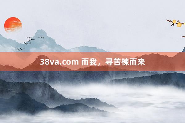 38va.com 而我，寻苦楝而来