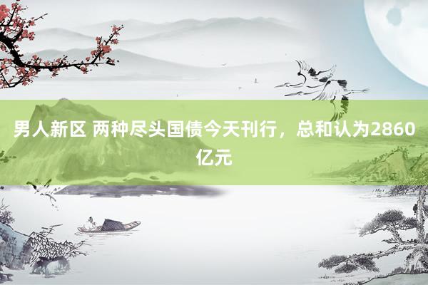 男人新区 两种尽头国债今天刊行，总和认为2860亿元