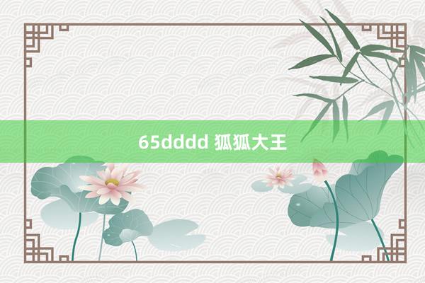 65dddd 狐狐大王