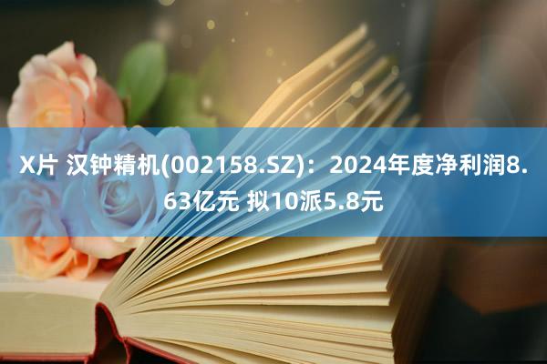 X片 汉钟精机(002158.SZ)：2024年度净利润8.63亿元 拟10派5.8元