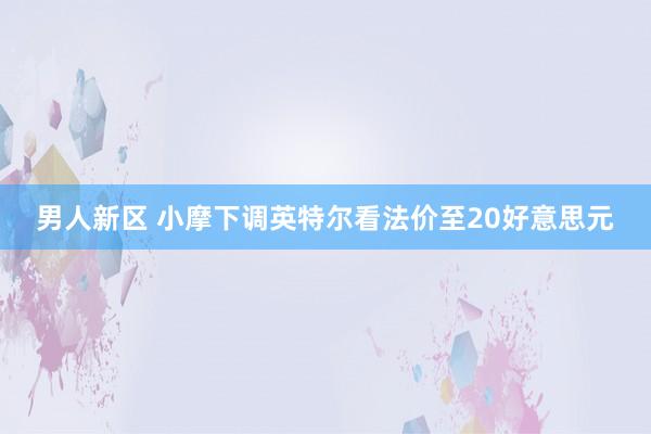 男人新区 小摩下调英特尔看法价至20好意思元